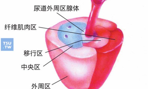 银杏叶软胶囊的就作用-银杏叶软胶囊的用法网 - 为你提供银杏叶软胶囊的用法用量是多少、银杏叶软胶囊用法与用量